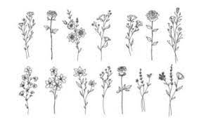 flower line drawing vector art icons