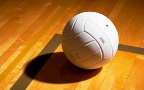 Image result for volleyball