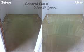 carpet cleaning photos