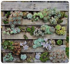 diy recycled pallet vertical succulent