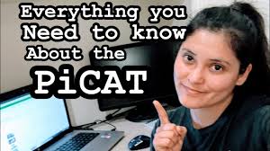 the picat picat verification test