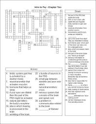 Brain Terminology Crossword Puzzle Anatomy Physiology