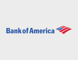 15 755 просмотров 15 тыс. Bank Of America Life Insurance Review Term Ad D Policies