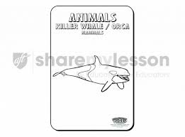 Coloring pages for children is a wonderful activity that encourages children to think in a creative way and arises their curiosity. Cool Coloring Pages Killer Whale Orca Share My Lesson