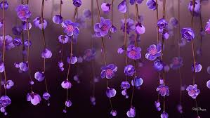 Purple Orchid Digital Wallpaper Pink