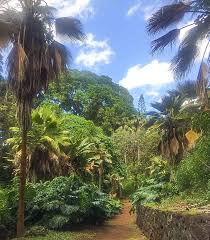527 yorum, makale ve 719 resme bakın. Best 8 Botanical Gardens In Oahu To Explore Now This Hawaii Life