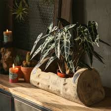 Rustic Wood Log Planter Garden