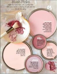 Paint Palette Blush Pinks Interiors