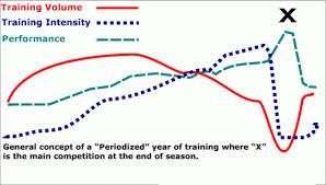 Periodization In Strength Training Racer X Virtual Trainer
