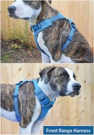 The Best Front Clip Dog Harnesses Whole Dog Journal
