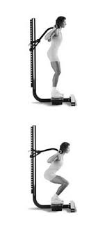 Soloflex Exercise Machine Exercises From Soloflex Poster