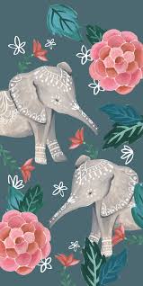 elephant iphone hd wallpapers pxfuel