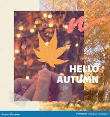 Инспирационная мотивация: приветствие осень с листьями на заднем плане,  праздничные и сезонные представления Стоковое Изображение - изображение  насчитывающей сообщение, праздник: 156659145