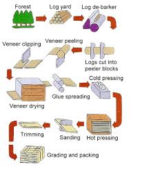 Plywood How It Is Made Of In 2019 Process Flow Chart