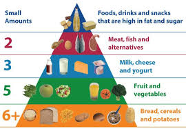 The Food Pyramid Is A Great Starting Point To Understanding