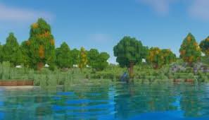 To install most minecraft mods, you can use a mod manager called forge, but for shaders and texture packs, you'll want to use a tool called . Minecraft 1 16 5 Shader Packs Texture Packs