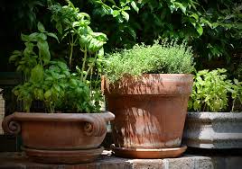 Italian Garden Ideas For Your Next