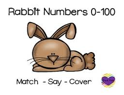 Rabbit Number 0 100