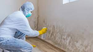 7 Mold Abatement Techniques Used By The