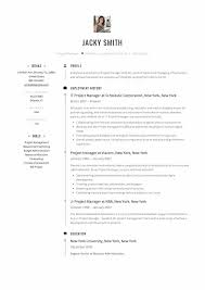 Resume Examples Project Manager Joefitnessstore Com