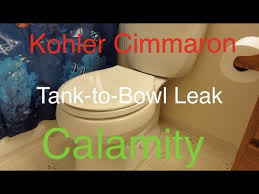 Kohler Cimmaron Toilet Tank To Bowl