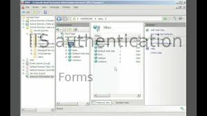 iis forms authentication configuration