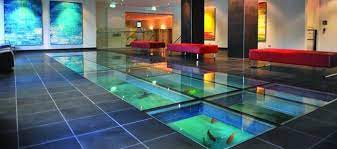 6 aquarium floor options | mecc interiors inc. gambar png