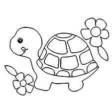 Tranh tô màu con Rùa đơn giản, đẹp nhất cho bé tập tô