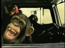 Image result for make gifs motion images of vicious monkeys shrieking
