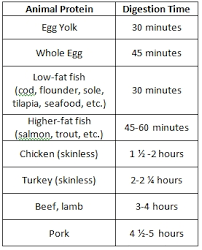 Digesting Animal Protein Eating Disorder Pro