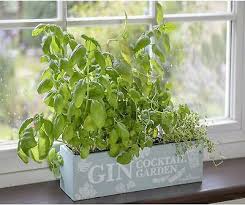 Indoor Wooden Window Herb Garden