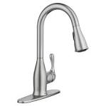 Delta pull down single handle faucet -