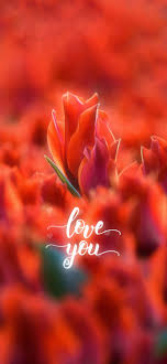 love you wallpapers central