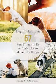 dog bucket list 57 fun things to do