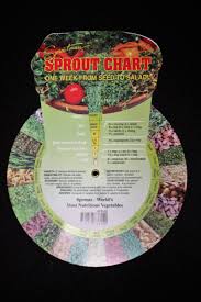 Sprout Chart Mumms Sprouting Seeds