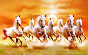 7 horses running hd wallpapers