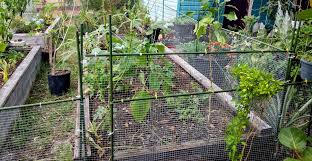 How To Build An Easy Diy Garden Fence