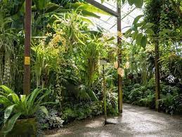 Die billigste ist per linie 6222 zug und kostet €2. Der Botanische Garten Munchen Fantastische Flora In Nymphenburg
