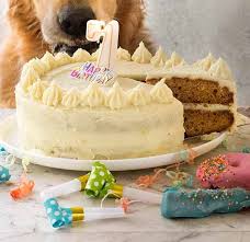 dog cake recipe for dozer s birthday