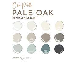 Pale Oak Paint Color Palette Benjamin