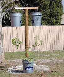 Upside Down Tomato Garden Vegetable