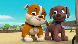 Watch PAW Patrol Season 5 Episode 3: Ultimate Rescue: Pups Save the Movie  Monster! - Full show on Paramount Plus