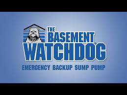 Basement Watchdog Emergency Backup Sump