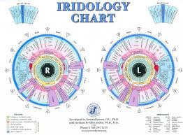 The Eye Is The Window To The Body Iridology Chart