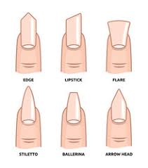 nail oval shape vector images over 300