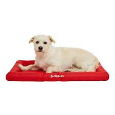 3 peaks dog crate mat red pets at home