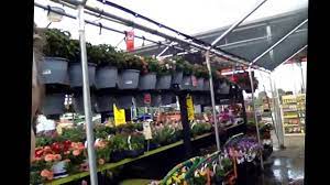 You'll find what you need to set up a fabulous flower garden or bountiful veggie patch. Here S Where I Work Home Depot Garden Center Youtube