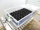 Propagators for your garden from Suttons Seeds - Suttons Seeds