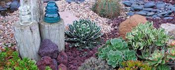 Water Wise Gardening The Benefits Of