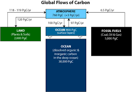 carbon cycle science mission directorate